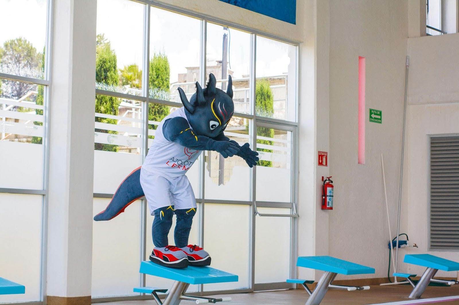 How To Choose A Mascot Manufacturer A Complete Guide