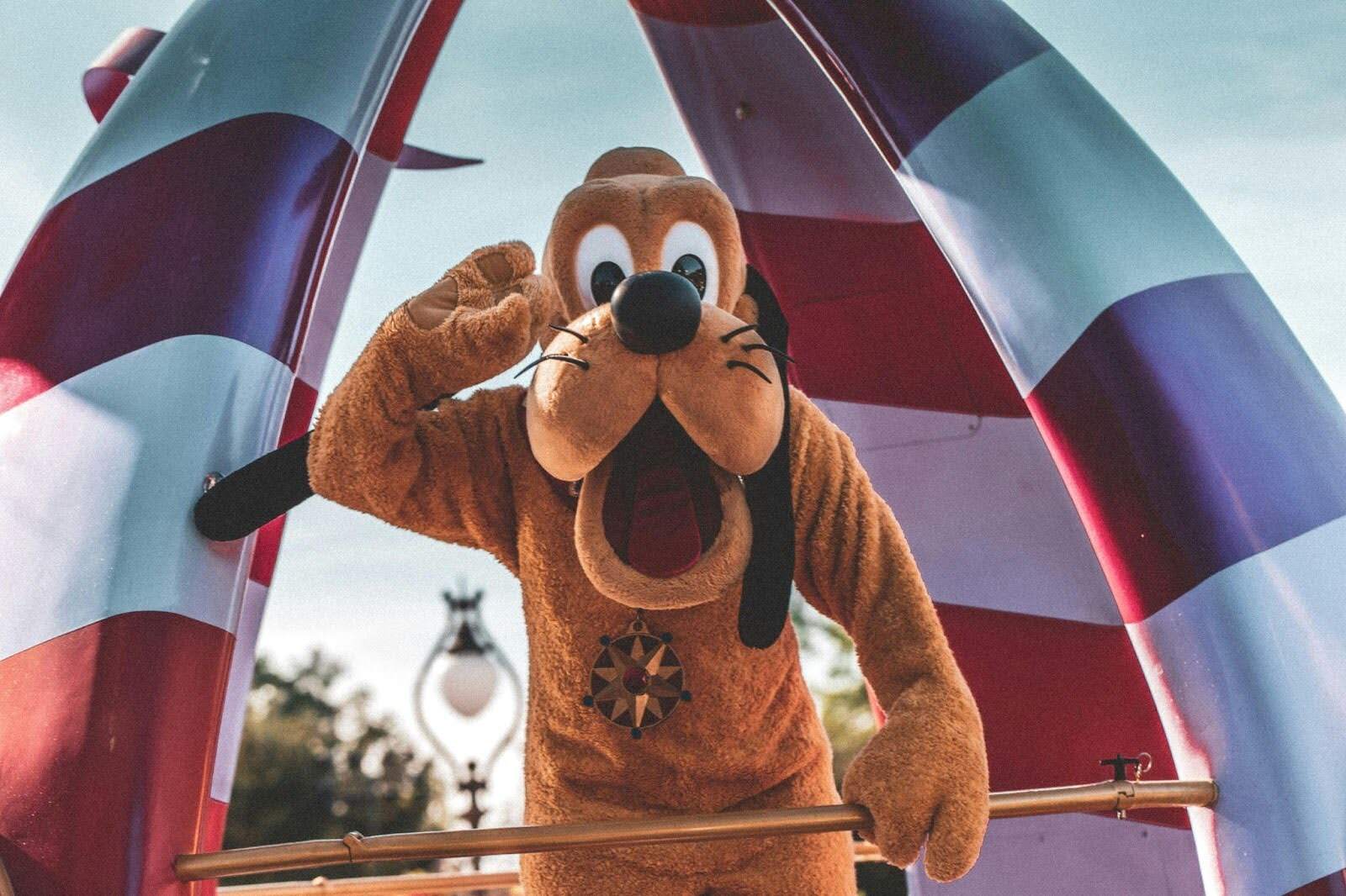 Main - The Crucial Role Of A Mascot Handler