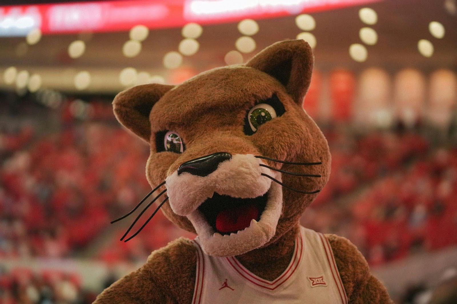 Common Mistakes To Avoid When Introducing A Mascot