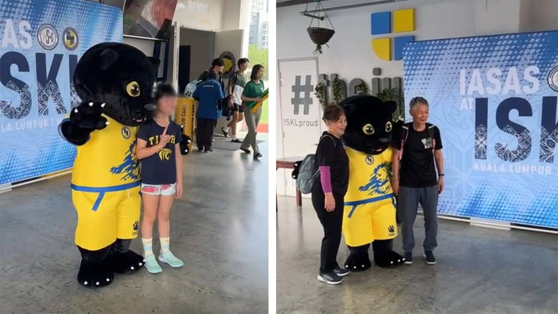 Mascot at Sports Event