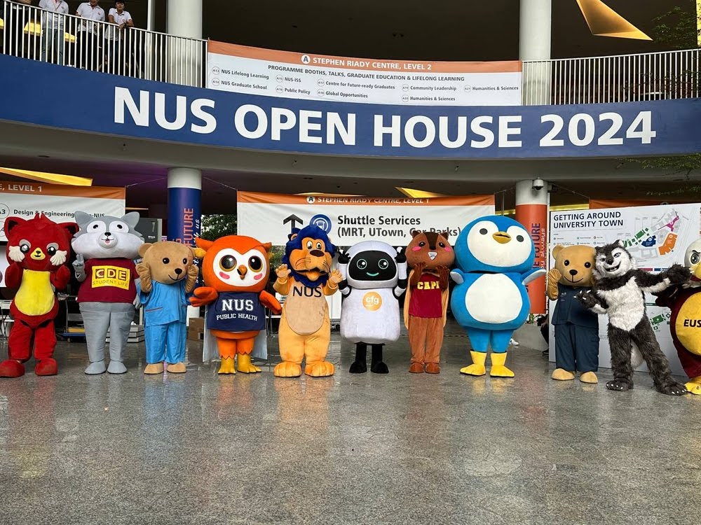 Why Introducing A Mascot Matters